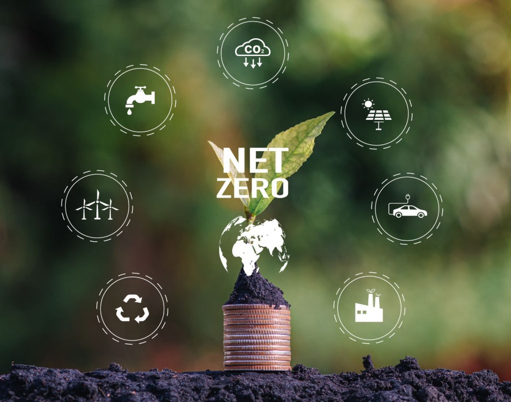 Cupones ACCIÓ Green: neutralidad cero
