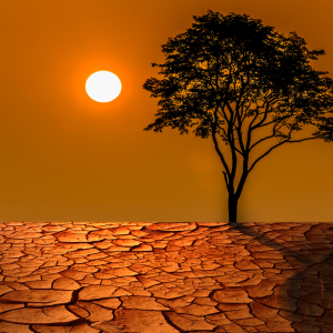 Día Mundial del Medioambiente - 5 de junio 2024