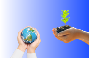 Curso responsable de sostenibilidad ambiental
