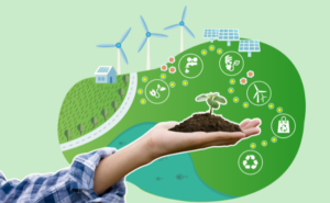 Autorización Ambiental Única