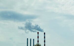 Cupons ACCIÓ Green 2025