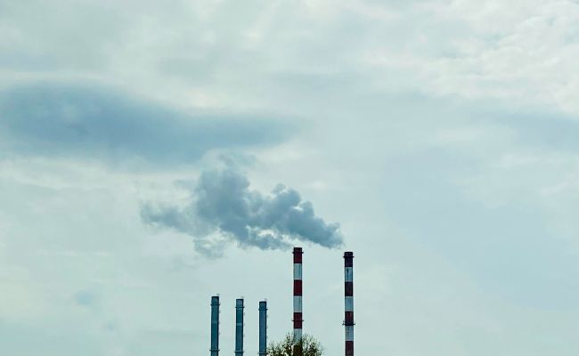 Cupons ACCIÓ Green 2025