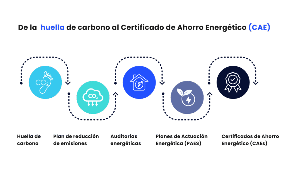 Infografía - Taller de la huella al CAE